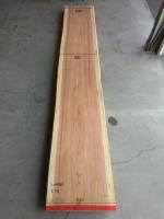 杉　TS-1110