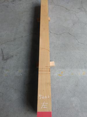 ケヤキ　TK-5202