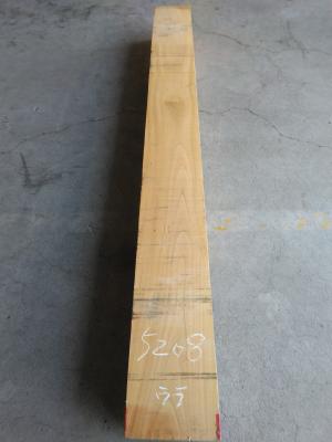 ケヤキ　TK-5208