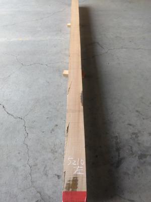 ケヤキ　TK-5210