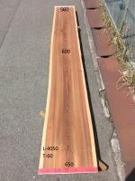 杉　TS-1143
