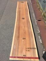 杉　TS-1160
